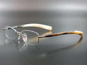 牛角眼镜 fa23图片,牛角眼镜 fa23高清图片 新光辉眼镜制品厂,中国制造网