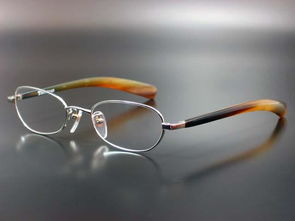 牛角眼镜 fa21图片,牛角眼镜 fa21高清图片 新光辉眼镜制品厂,中国制造网